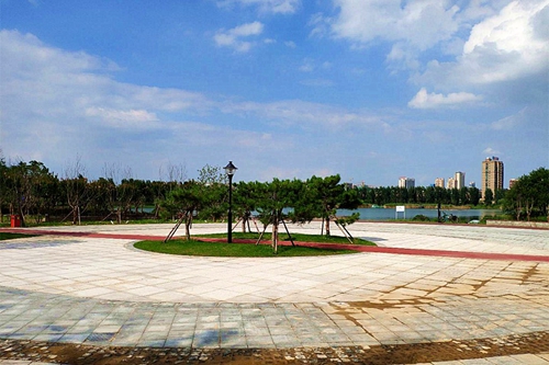 園冶杯專(zhuān)業(yè)獎(jiǎng)：老黿塘濕地公園