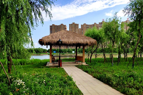 園冶杯專(zhuān)業(yè)獎(jiǎng)：老黿塘濕地公園