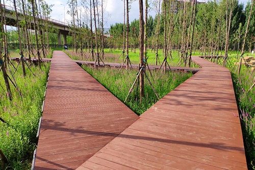 園冶杯專(zhuān)業(yè)獎(jiǎng)：老黿塘濕地公園