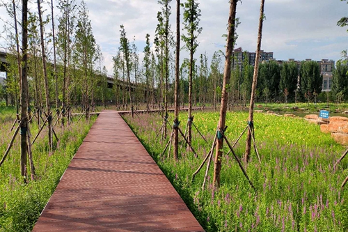 園冶杯專(zhuān)業(yè)獎(jiǎng)：老黿塘濕地公園