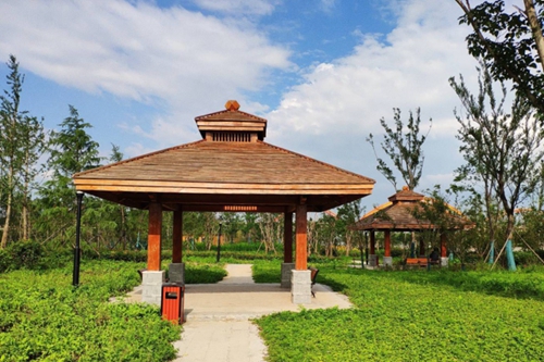 園冶杯專(zhuān)業(yè)獎(jiǎng)：老黿塘濕地公園