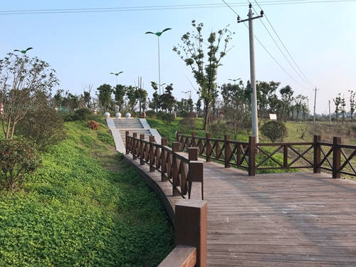 園冶杯專業(yè)獎：店忠路（新合馬路至環(huán)巢湖大道段）改建工程景觀設(shè)計