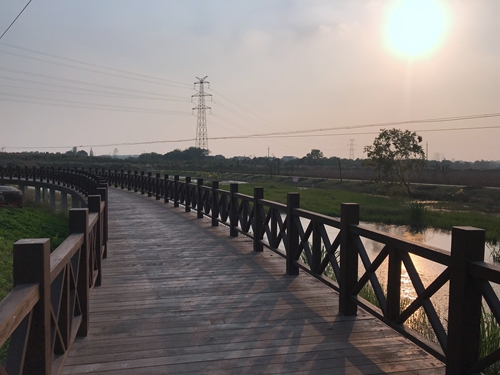 園冶杯專業(yè)獎：店忠路（新合馬路至環(huán)巢湖大道段）改建工程景觀設(shè)計