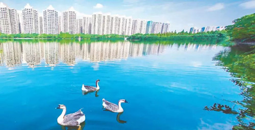 引領(lǐng)城市未來(lái)，中國(guó)“公園城市”建設(shè)前路美好