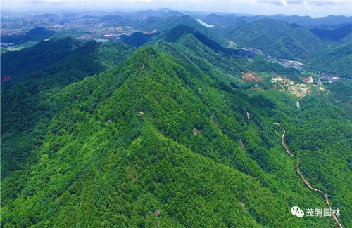 林城山水中，享一份寧靜——廣東中山國家森林公園
