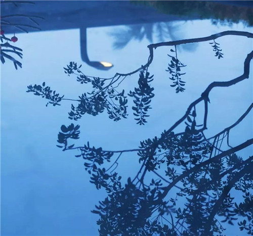 奢而不過(guò)，簡(jiǎn)而不凡——?？谌趧?chuàng)觀瀾湖公園壹號(hào)
