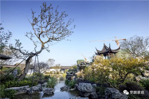 方寸之間，自有天地 | 南京建發(fā)?央譽(yù)