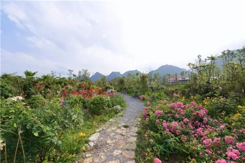“秘密花園”，云漫湖的詩與遠方！