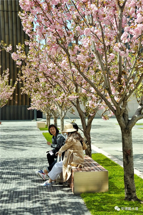 Ramboll Share | 國銳金嵿生態(tài)公園社區(qū)-環(huán)境友好型景觀設(shè)計與雨洪管理實踐