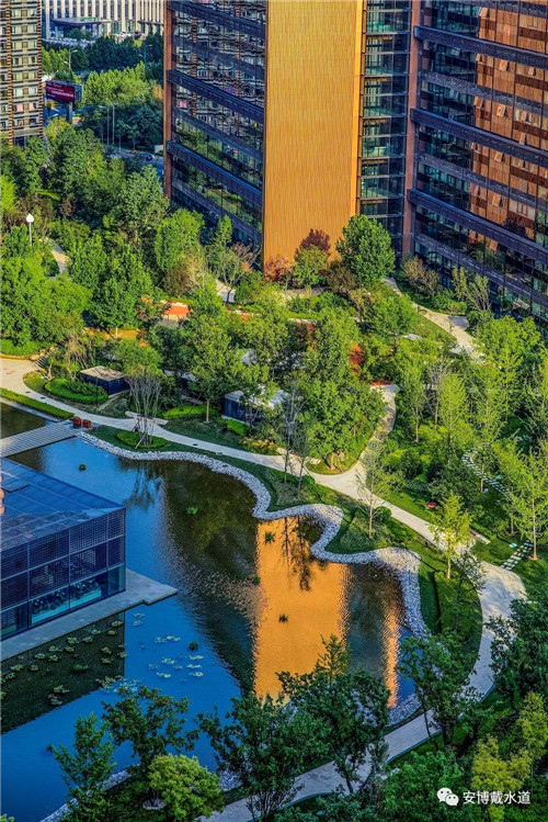 Ramboll Share | 國銳金嵿生態(tài)公園社區(qū)-環(huán)境友好型景觀設(shè)計與雨洪管理實踐