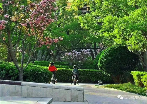 Ramboll Share | 國銳金嵿生態(tài)公園社區(qū)-環(huán)境友好型景觀設(shè)計與雨洪管理實踐
