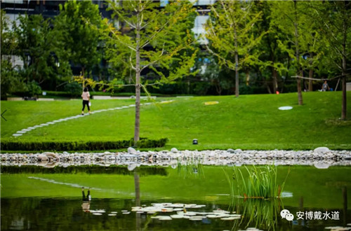 Ramboll Share | 國銳金嵿生態(tài)公園社區(qū)-環(huán)境友好型景觀設(shè)計與雨洪管理實踐
