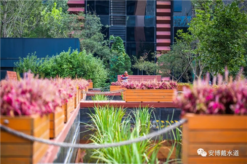 Ramboll Share | 國銳金嵿生態(tài)公園社區(qū)-環(huán)境友好型景觀設(shè)計與雨洪管理實踐