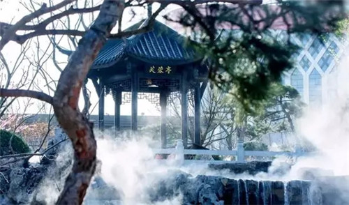 2019園冶杯專業(yè)獎丨達(dá)州藍(lán)光芙蓉風(fēng)華