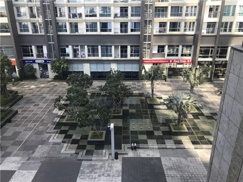 2019園冶杯專(zhuān)業(yè)獎(jiǎng)丨Vincom Landmark 81