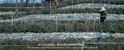貴陽中南·春風(fēng)南岸 社區(qū)花園實踐