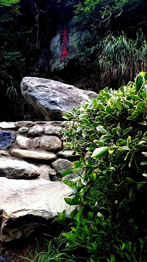 2019年園冶杯專業(yè)獎|廬山桃花源景區(qū)工程