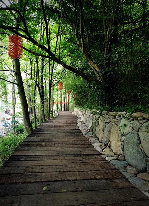2019年園冶杯專業(yè)獎|廬山桃花源景區(qū)工程
