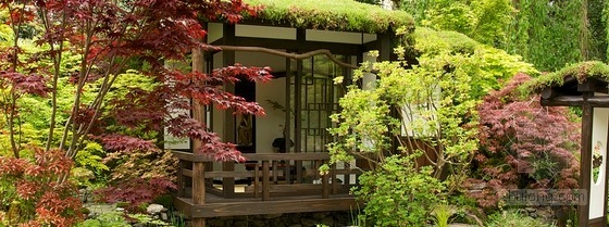 2013切爾西花展金獎(jiǎng)：日本壁龕花園
