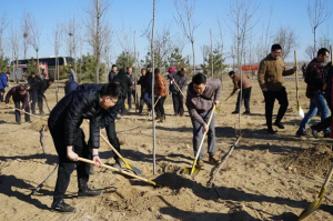 河北：今年計(jì)劃完成城市植樹1000萬(wàn)株