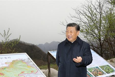 習(xí)近平：要做守護秦嶺生態(tài)的衛(wèi)士