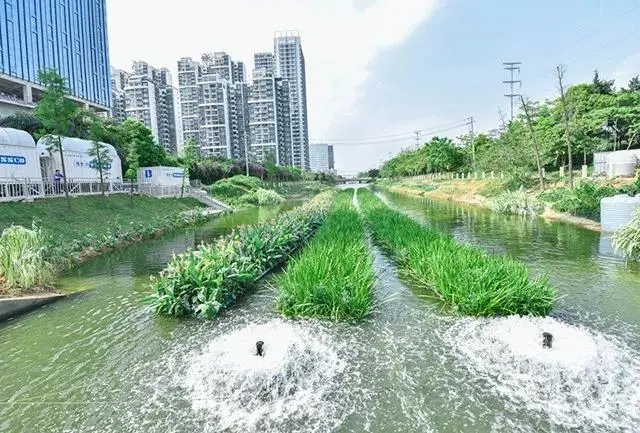 四部門印發(fā)黑臭水體治理攻堅(jiān)戰(zhàn)方案