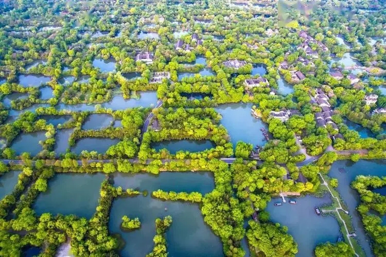 我國國家濕地公園20年建設(shè)成果豐碩